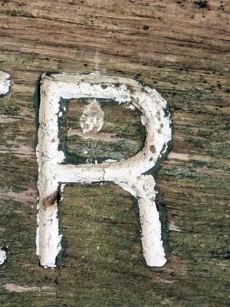 Sıkıntılı Durum Tipografisi ile Yazılan Sözcükler Ransom Yazı Tipi Harfi R