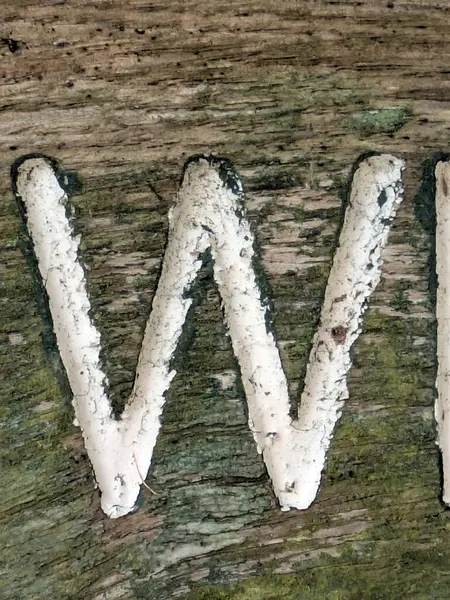 Sıkıntılı Durum Tipografisi ile Yazılan Kelimeler Ransom Yazı Tipi Harfi W