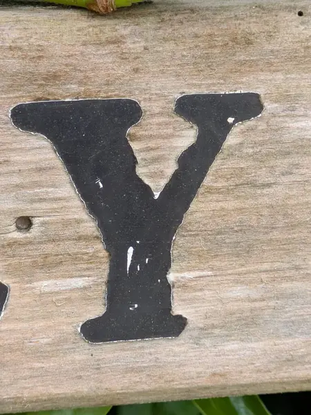 Sıkıntılı Durum Tipografisi ile Yazılan Kelimeler Ransom Yazı Tipi Y harfini buldu