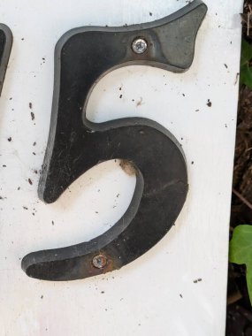 Sıkıntılı Durum Tipografisi Yazılı Sözcükler 5 Numaralı Fidyeyi Buldu