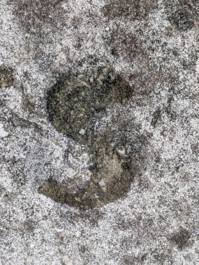 soyut, yaşlı, alfabe, arkaplan, yakın plan, kirli, sıkıntılı, yazı tipi, grafiti, grunge, grungy, image, industrial, label, letter, Letting, letters, material, number, object, old, paint, print, public, realistic, retro, rough, rustic, paslı, sign,