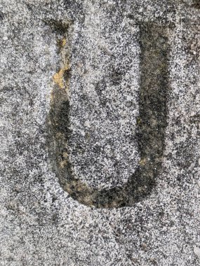 Sıkıntılı Durum Tipografisi ile Yazılan Sözcükler Fidye Mektubunu Bulundu