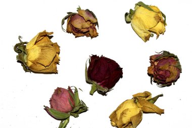 Kurumuş Sarı ve Kırmızı Gül Yapraklarını Beyaz Arkaplanda Kapatın