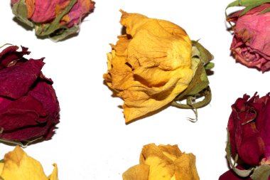 Kurumuş Sarı ve Kırmızı Gül Yapraklarını Beyaz Arkaplanda Kapatın