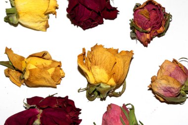 Kurumuş Sarı ve Kırmızı Gül Yapraklarını Beyaz Arkaplanda Kapatın