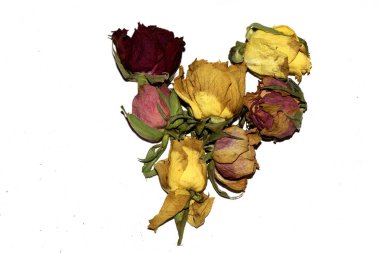 Kurumuş Sarı ve Kırmızı Gül Yapraklarını Beyaz Arkaplanda Kapatın