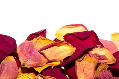 Beyaz arka planda kurumuş güzel gül yaprakları.