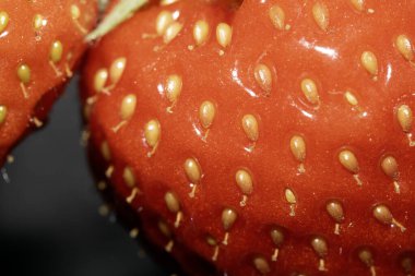 Tohumları kırmızı deride gösteren taze yetişmiş bir çileğe yakından bak.