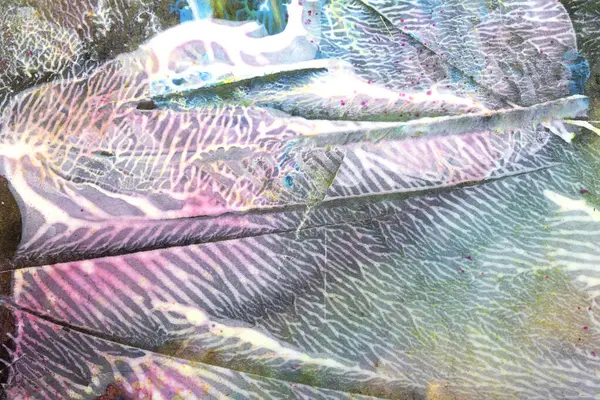 Kalın desenli Soyut Akrilik Boya Çizgileri, Girdaplar ve Fırça Darbeleri ve Canlı Sıçratmalar Sıvı Arkaplan