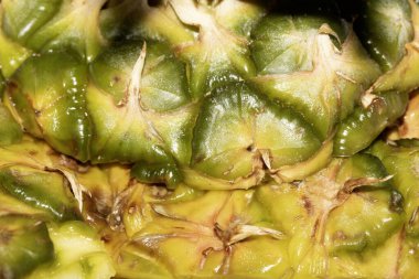 Beyaz arkaplanda ananas derisini kapat