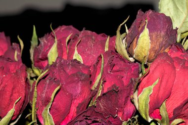 Siyah arkaplanı olan kurumuş kırmızı gülleri kapat.