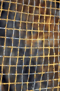 Arkaplan için paslı ağ kablosunu özet geç