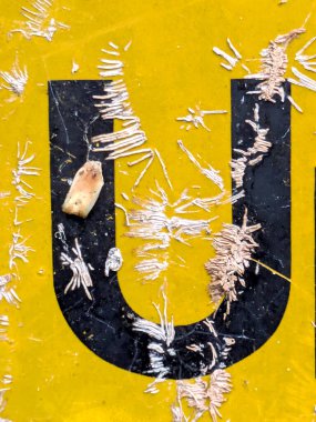 Sıkıntılı Durum Tipografisi ile Yazılan Sözcükler Fidye Mektubunu Bulundu