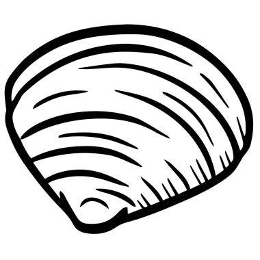 El çizimi deniz kabuğu yumuşakçaları kabuklu deniz ürünleri. 