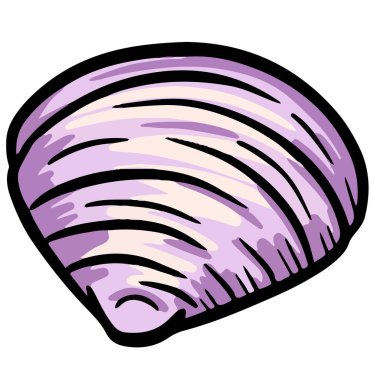 El çizimi deniz kabuğu yumuşakçaları kabuklu deniz ürünleri. 