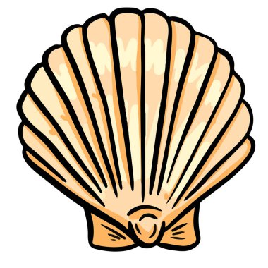 El çizimi deniz kabuğu yumuşakçaları kabuklu deniz ürünleri. 