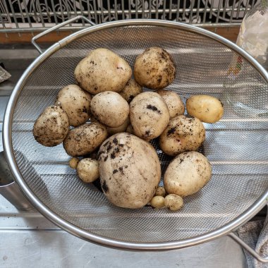 Cullender 'da ev yapımı patates pişirmek için işlenmemiş.