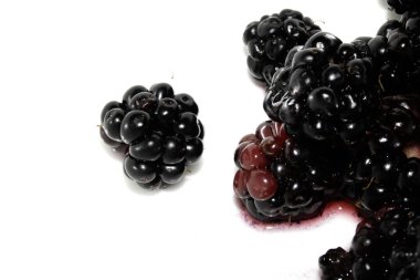 Beyaz arka planda böğürtlen meyvelerini kapat