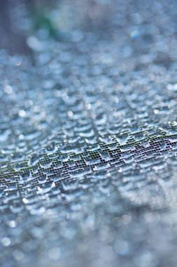 Dantel çizgilerdeki soyut su damlacıkları yumuşak ve güzel arkaplanı doldurur