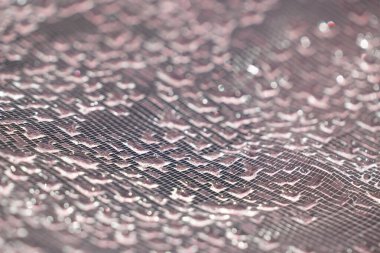 Dantel çizgilerdeki soyut su damlacıkları yumuşak ve güzel arkaplanı doldurur