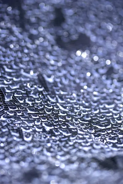 Dantel çizgilerdeki soyut su damlacıkları yumuşak ve güzel arkaplanı doldurur