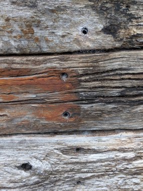 Kalıplaşmış ahşap çatallar ve derin tahıllar.