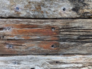 Kalıplaşmış ahşap çatallar ve derin tahıllar.