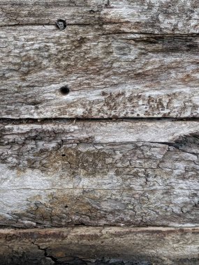 Kalıplaşmış ahşap çatallar ve derin tahıllar.