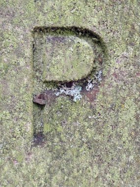 Sıkıntılı Durum Tipografisi ile Yazılan Sözcükler Fidye Mektubu P Bulundu