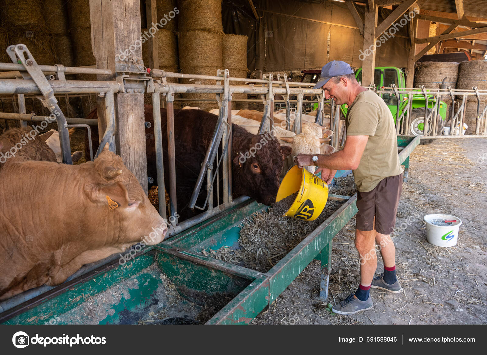 Feeding Cattle Fattening Distribution Dehydrated Beet Pulp Granules