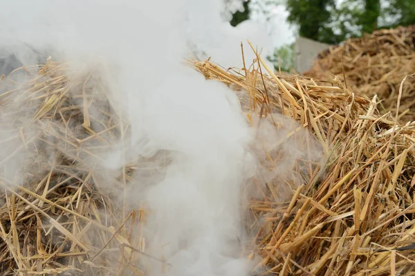 Accidental fire in a farm. Farm building and farm equipment calcined. Residual smoke of straw. Normandy, France, May 2018