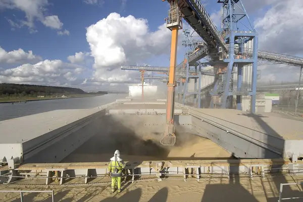 Grain Loading Wheat Ship Panamax Senalia Largest Port Food Industry — Stock Photo, Image