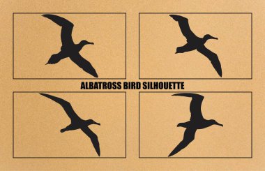 Kuş albatrosunun siluetleri, albatros kuş silueti çizimi