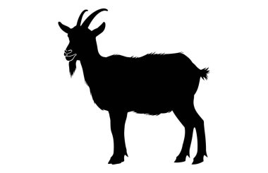 Siyah Alp keçisi silueti, Alp dağ keçisi silueti çizimi