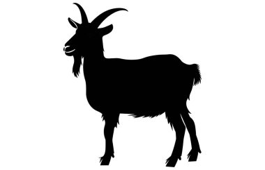 Siyah Alp keçisi silueti, Alp dağ keçisi silueti çizimi