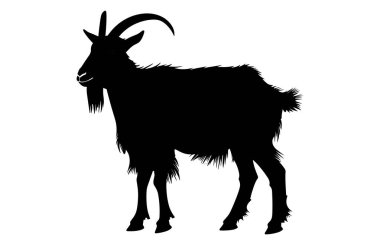 Siyah Alp keçisi silueti, Alp dağ keçisi silueti çizimi