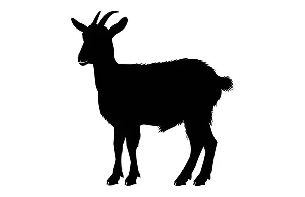 stock vector Black Alpine Goat Silhouette, Alpine ibex silhouette illustration