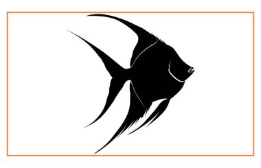 Kara Melek Balık Silueti, bir Melek Balığı illüstrasyon klipinin siyah silüeti.