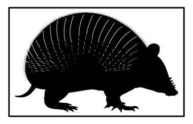 Armadillo Walking Silhouette, bir armadillonun siyah silueti, klasik hipster armadillo logosu.