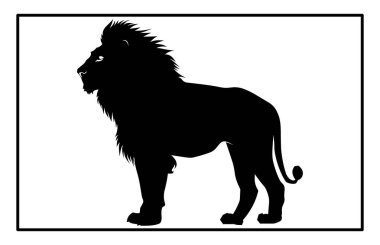 Asya Aslanı Hayvan Vektörü - Görkemli Büyük Kedi Vahşi Yaşam Çizimi ve Clipart