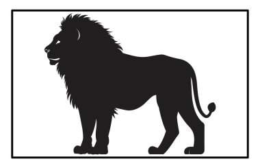 Asya Aslanı Hayvan Vektörü - Görkemli Büyük Kedi Vahşi Yaşam Çizimi ve Clipart