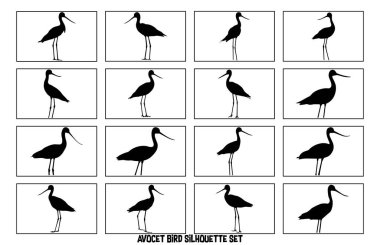 Kuş silueti vektöründen kaçının - Zarif Shorebird İllüstrasyonu ve Vahşi Yaşam Clipart