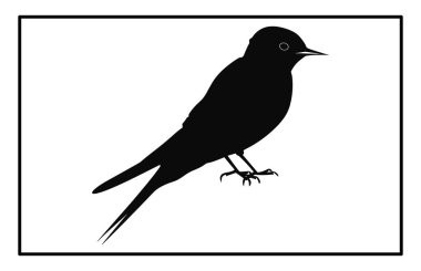 Uçan bir kuş sürüsü, uçan siluetleri yutar, gökyüzünde bir grup kuş