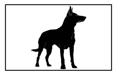 Avustralya sığır köpek silueti köpek cins, Avustralya sığır köpeği silueti ile siyah köpek