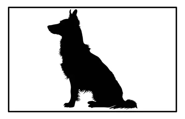 Avustralya sığır köpek silueti köpek cins, Avustralya sığır köpeği silueti ile siyah köpek