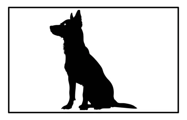 Avustralya sığır köpek silueti köpek cins, Avustralya sığır köpeği silueti ile siyah köpek