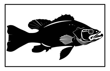 Haddock Nehri balık silueti. Balık Mezgit El çizimi, Nehir Haddock