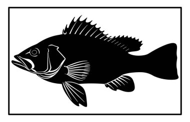 Haddock Nehri balık silueti. Balık Mezgit El çizimi, Nehir Haddock