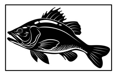 Haddock Nehri balık silueti. Balık Mezgit El çizimi, Nehir Haddock