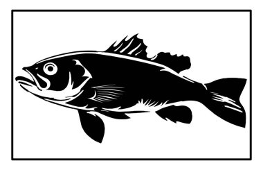 Haddock Nehri balık silueti. Balık Mezgit El çizimi, Nehir Haddock